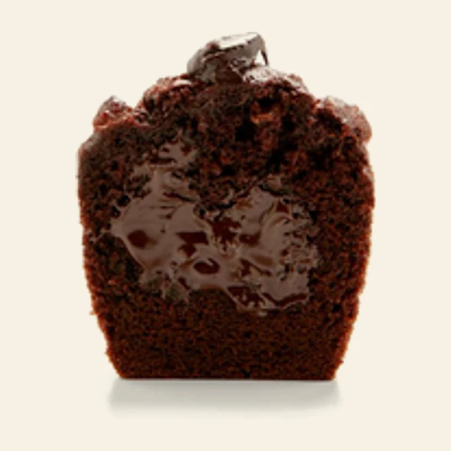 Tulipe Chocolate Extrem